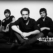 Animal Jazz